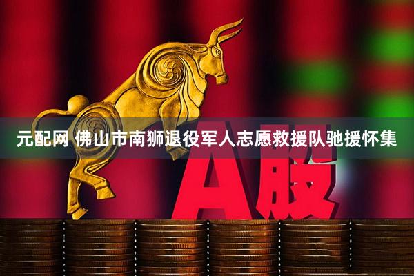 元配网 佛山市南狮退役军人志愿救援队驰援怀集