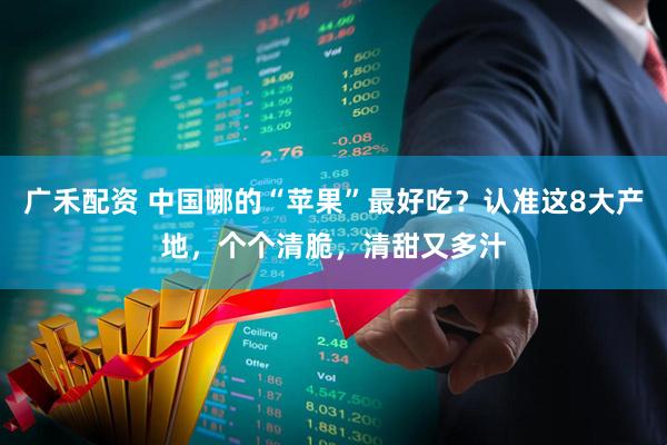 广禾配资 中国哪的“苹果”最好吃？认准这8大产地，个个清脆，清甜又多汁