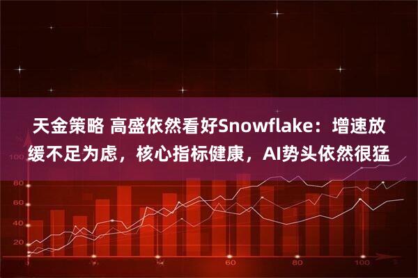 天金策略 高盛依然看好Snowflake:增速放缓不足为虑,核心指标健康,AI势头依然很猛