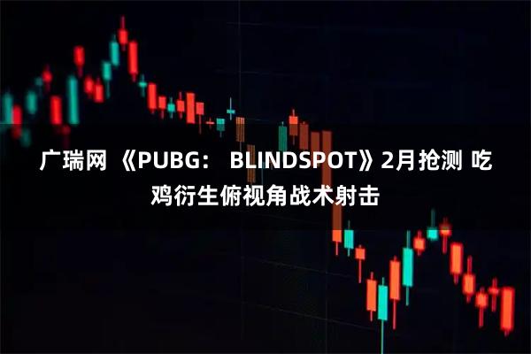 广瑞网 《PUBG： BLINDSPOT》2月抢测 吃鸡衍生俯视角战术射击